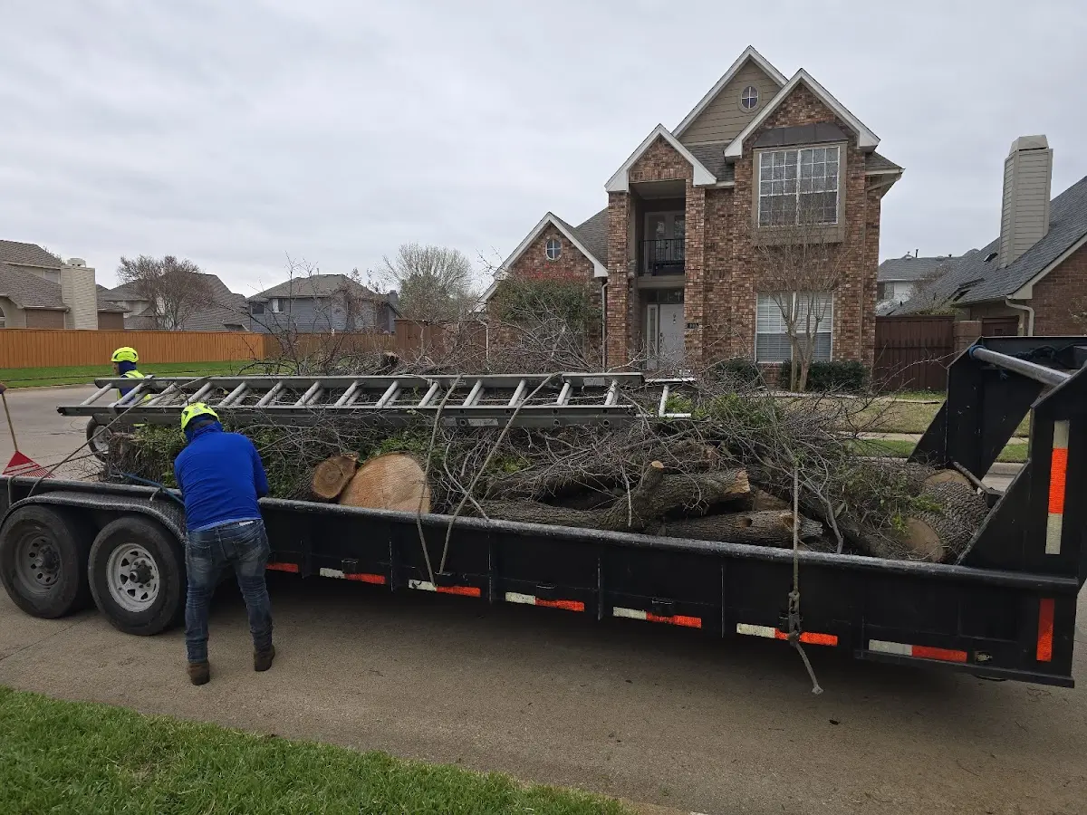 Expert Tree Removal with proper safety equipment in Clarkson